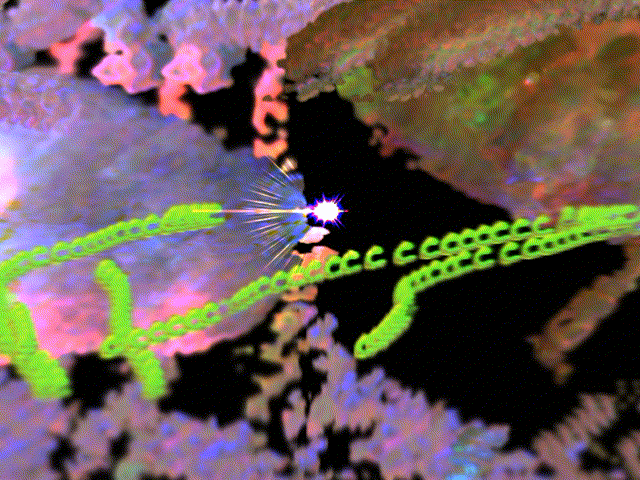 experimentalwoozywazy